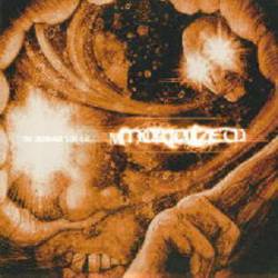 Mortalized (JAP) : Absolute Mortality 2